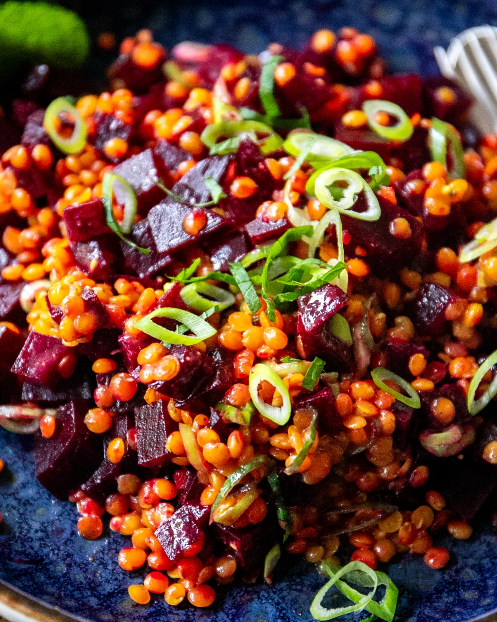 Rote Beete Linsen Salat