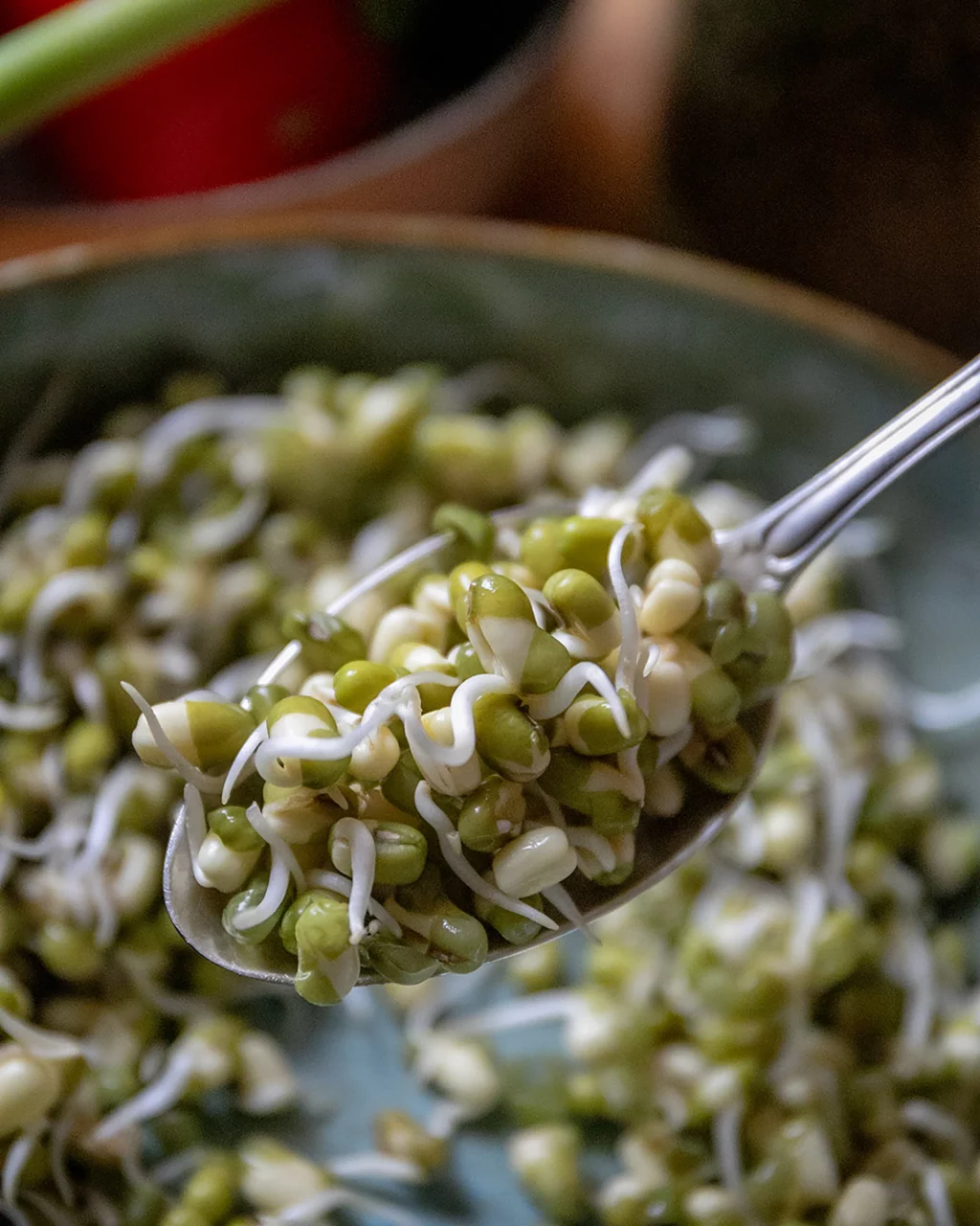 Mungbohnen Ayurvedische Küche