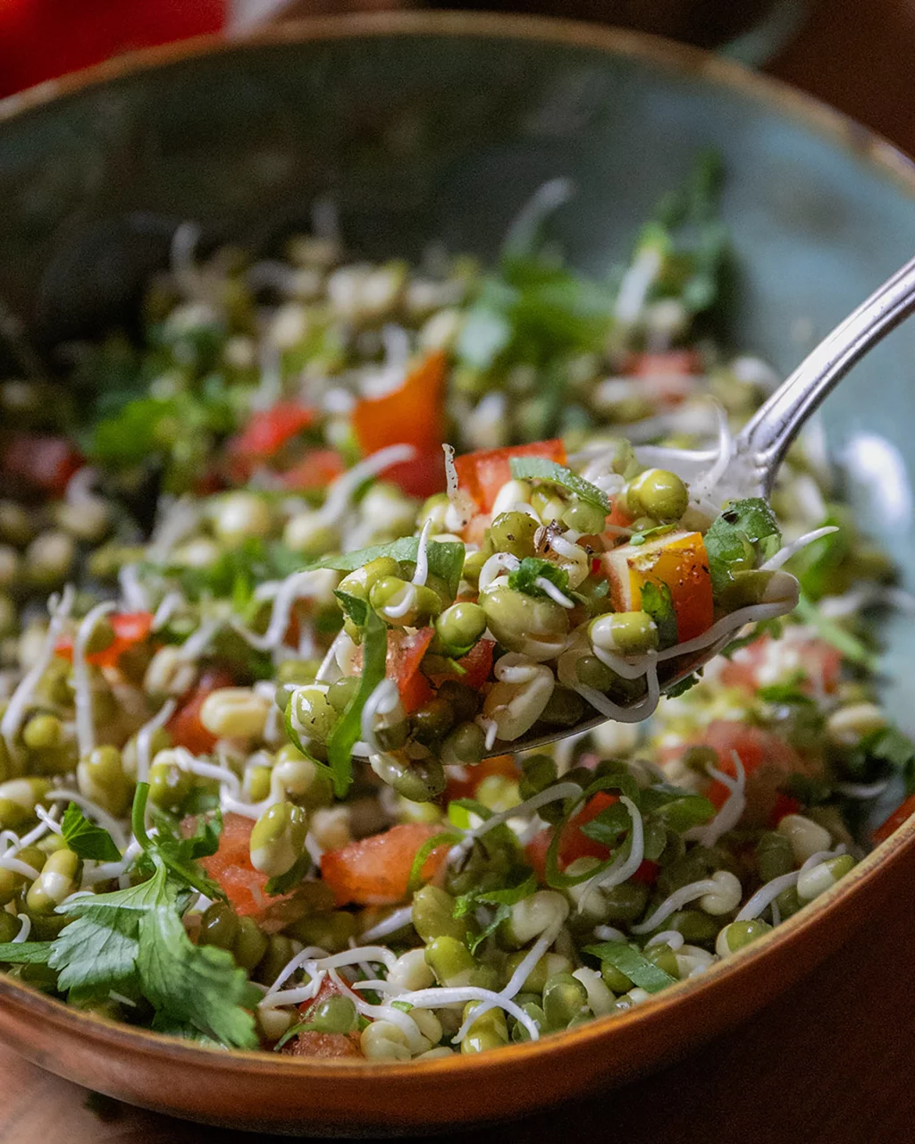 Mungbohnen Salat Ayurvedische Küche
