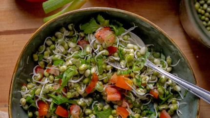 AYURVEDISCHER SALAT MIT GEKEIMTEN MUNGBOHNEN