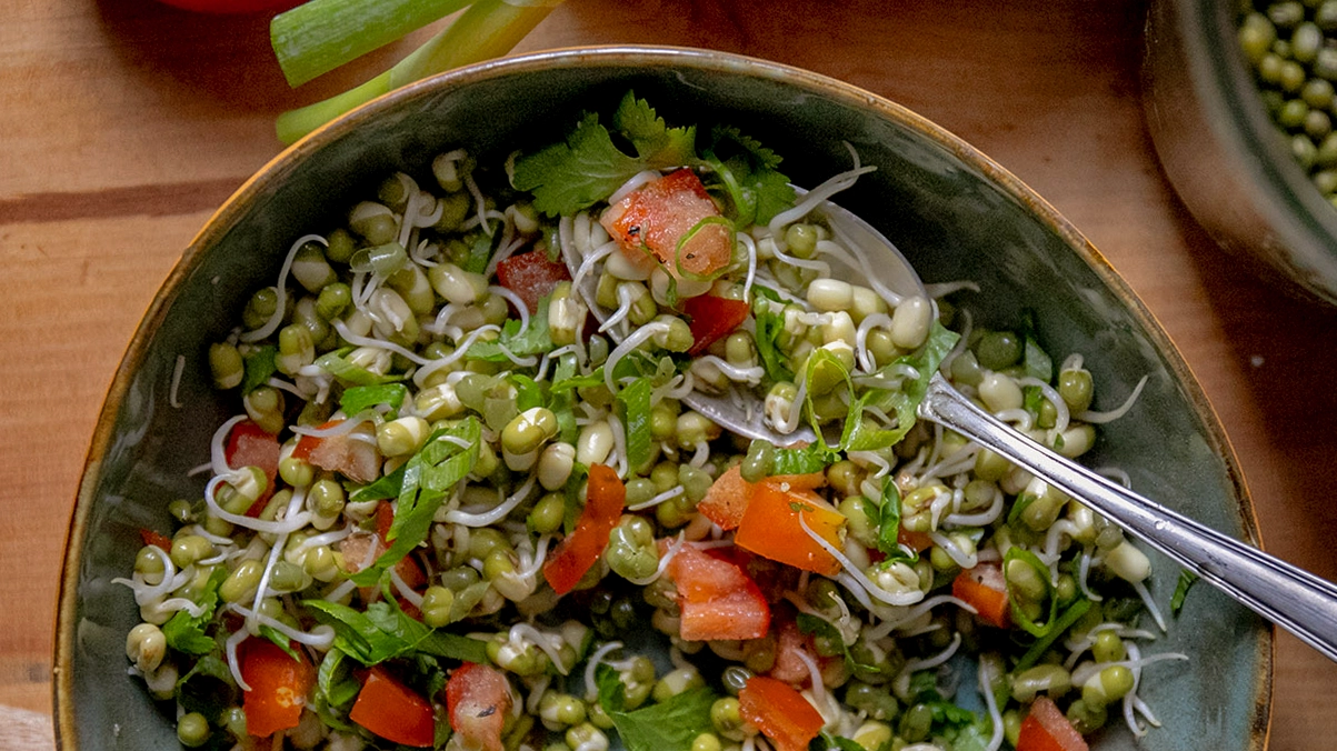 Mungbohnen Salat Ayurvedische Küche